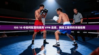 iOS 10 中如何配置和使用 VPN 连接，网络工程师的详细指南