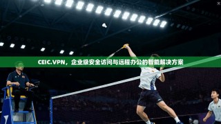 CEIC.VPN，企业级安全访问与远程办公的智能解决方案