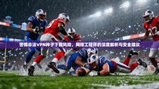 警惕非法VPN种子下载风险，网络工程师的深度解析与安全建议