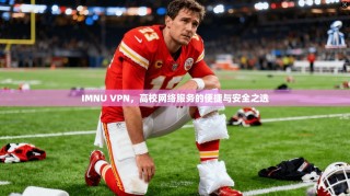 IMNU VPN，高校网络服务的便捷与安全之选