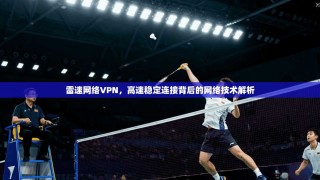 雷速网络VPN，高速稳定连接背后的网络技术解析
