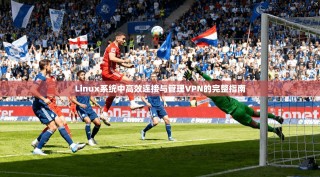 Linux系统中高效连接与管理VPN的完整指南