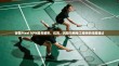 谷歌Pixel VPN服务解析，优势、风险与网络工程师的深度建议