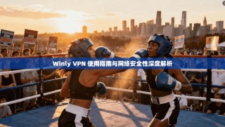 Winly VPN 使用指南与网络安全性深度解析