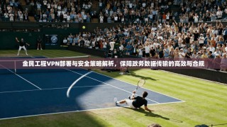 金民工程VPN部署与安全策略解析，保障政务数据传输的高效与合规