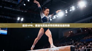 速丰VPN，便捷与风险并存的网络加速利器