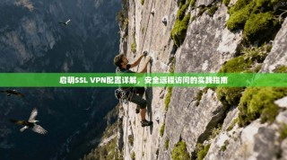 启明SSL VPN配置详解，安全远程访问的实践指南