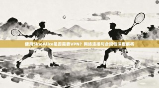使用SinoAlice是否需要VPN？网络连接与合规性深度解析
