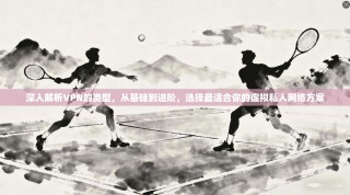 深入解析VPN的类型，从基础到进阶，选择最适合你的虚拟私人网络方案