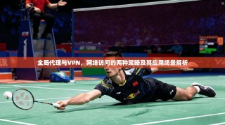 全局代理与VPN，网络访问的两种策略及其应用场景解析