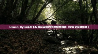 Ubuntu Kylin系统下配置与连接VPN的完整指南（含常见问题排查）