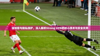 强加密与隐私保护，深入解析Strong VPN的核心技术与安全优势