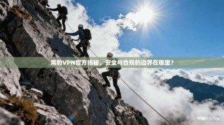 黑豹VPN官方揭秘，安全与合规的边界在哪里？