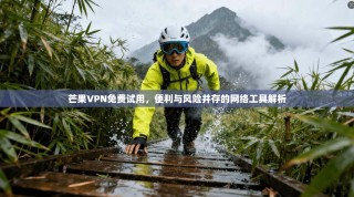芒果VPN免费试用，便利与风险并存的网络工具解析