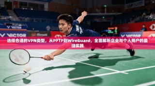 选择合适的VPN类型，从PPTP到WireGuard，全面解析企业与个人用户的最佳实践