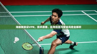 海蜘蛛架设VPN，技术原理、应用场景与安全风险全解析