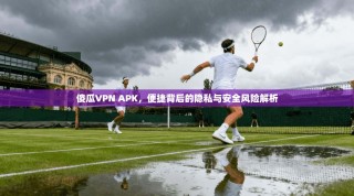 傻瓜VPN APK，便捷背后的隐私与安全风险解析