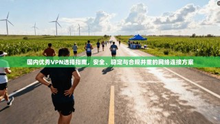 国内优秀VPN选择指南，安全、稳定与合规并重的网络连接方案