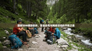 国税VPN辅助软件，安全合规与网络访问的平衡之道