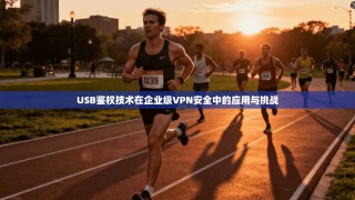 USB鉴权技术在企业级VPN安全中的应用与挑战
