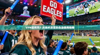VPN能有吗？从技术原理到合法使用指南