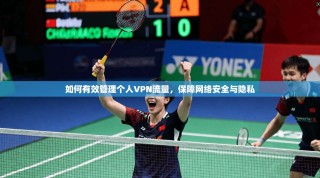 如何有效管理个人VPN流量，保障网络安全与隐私