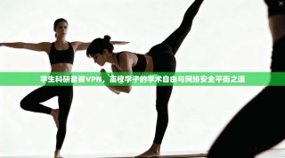 学生科研套餐VPN，高校学子的学术自由与网络安全平衡之道