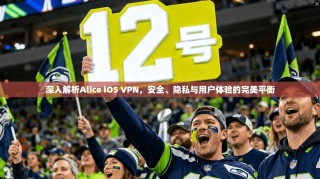 深入解析Alice iOS VPN，安全、隐私与用户体验的完美平衡