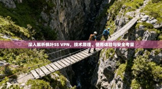 深入解析枫叶SS VPN，技术原理、使用体验与安全考量