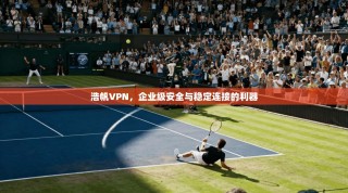 浩帆VPN，企业级安全与稳定连接的利器