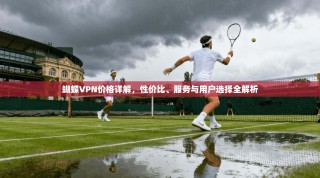 蝴蝶VPN价格详解，性价比、服务与用户选择全解析
