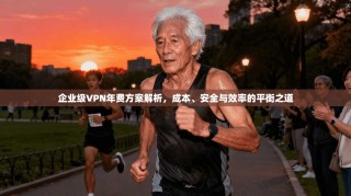 企业级VPN年费方案解析，成本、安全与效率的平衡之道