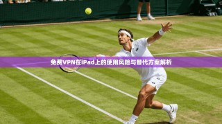 免费VPN在iPad上的使用风险与替代方案解析