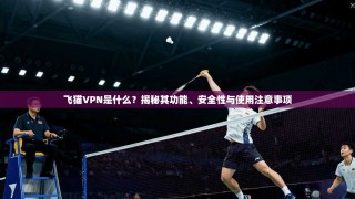 飞猫VPN是什么？揭秘其功能、安全性与使用注意事项