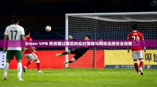 Green VPN 有效期过期后的应对策略与网络连接安全指南