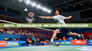 海鸽VPN，安全与效率的平衡之道—网络工程师视角下的使用体验与技术解析