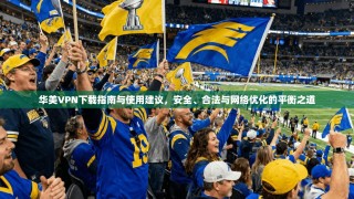 华美VPN下载指南与使用建议，安全、合法与网络优化的平衡之道