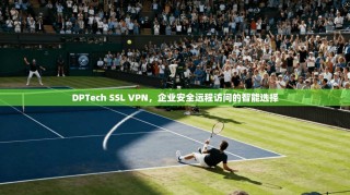 DPTech SSL VPN，企业安全远程访问的智能选择