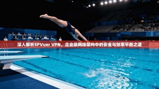 深入解析SPVuer VPN，企业级网络架构中的安全与效率平衡之道
