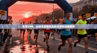 鸟哥VPN，从技术原理到实际应用的深度解析