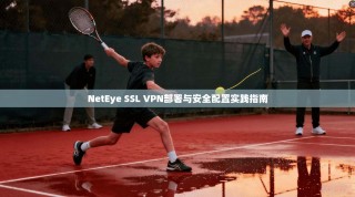 NetEye SSL VPN部署与安全配置实践指南