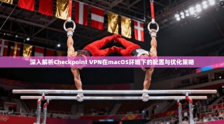 深入解析Checkpoint VPN在macOS环境下的配置与优化策略