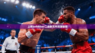 上传SoftEther二进制文件到路由器