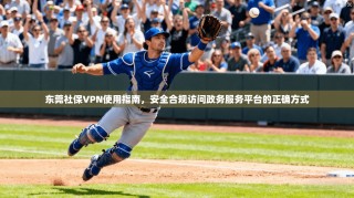 东莞社保VPN使用指南，安全合规访问政务服务平台的正确方式