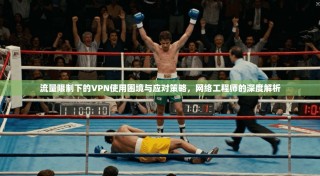 流量限制下的VPN使用困境与应对策略，网络工程师的深度解析