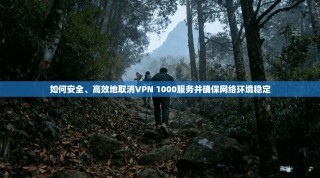 如何安全、高效地取消VPN 1000服务并确保网络环境稳定