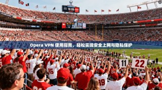 Opera VPN 使用指南，轻松实现安全上网与隐私保护
