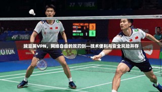 豌豆荚VPN，网络自由的双刃剑—技术便利与安全风险并存