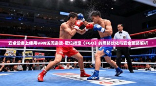 安卓设备上使用VPN访问命运-冠位指定（FGO）的网络优化与安全策略解析