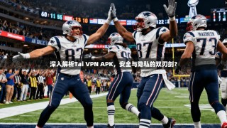 深入解析Tai VPN APK，安全与隐私的双刃剑？